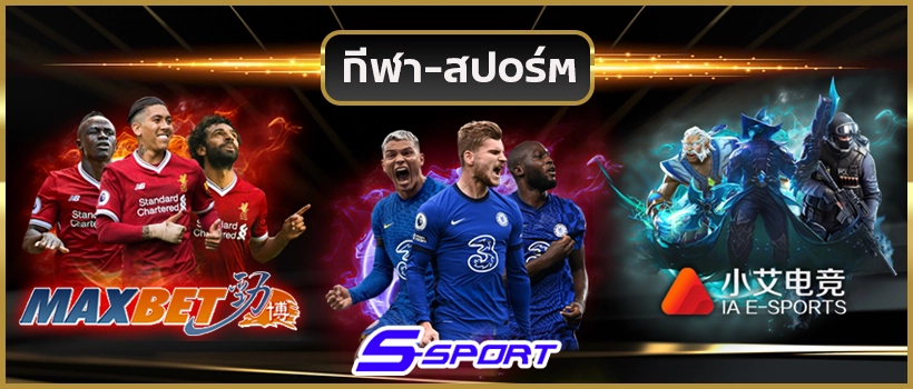  larva18 banner-sport